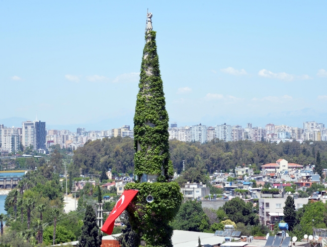 Sarmaşıkların yeşile bürüdüğü yer: Köprüköy Camii